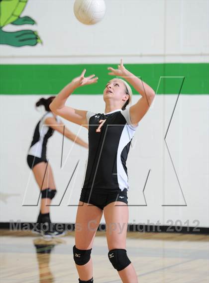 Thumbnail 2 in Webster @ Siren photogallery.