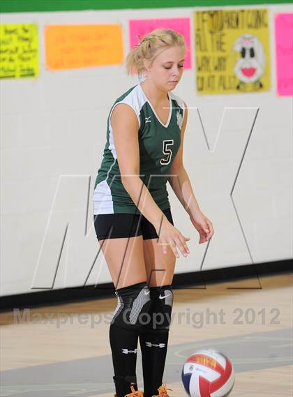 Thumbnail 3 in Webster @ Siren photogallery.