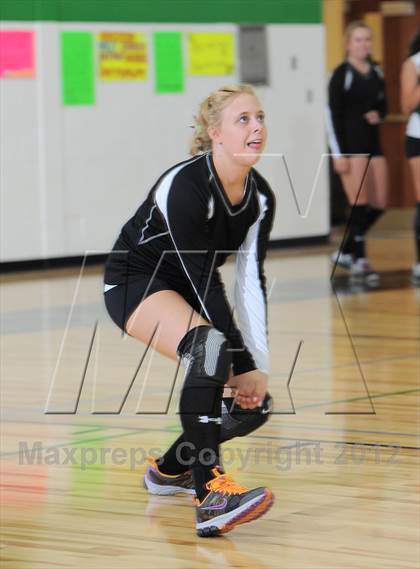 Thumbnail 3 in Webster @ Siren photogallery.