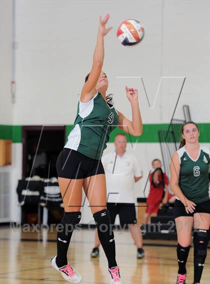 Thumbnail 2 in Webster @ Siren photogallery.