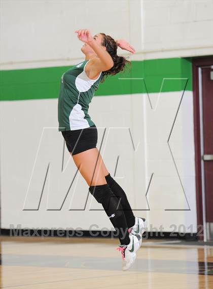 Thumbnail 1 in Webster @ Siren photogallery.