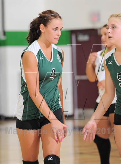 Thumbnail 1 in Webster @ Siren photogallery.