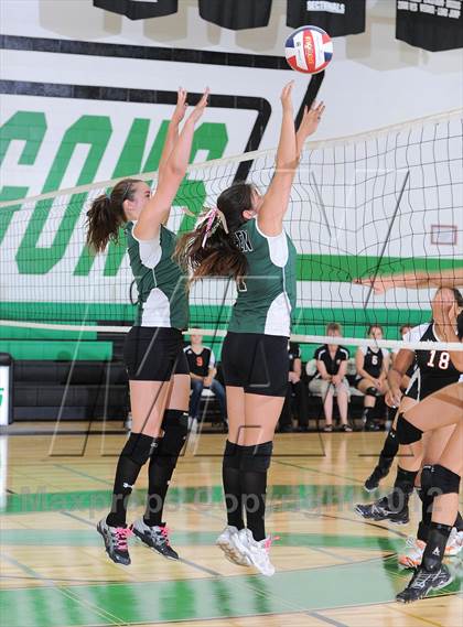 Thumbnail 2 in Webster @ Siren photogallery.