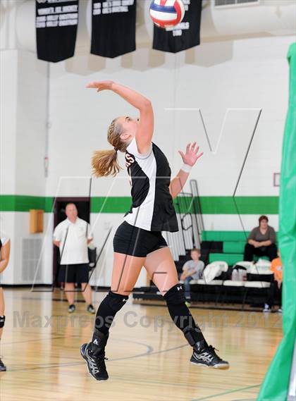 Thumbnail 3 in Webster @ Siren photogallery.