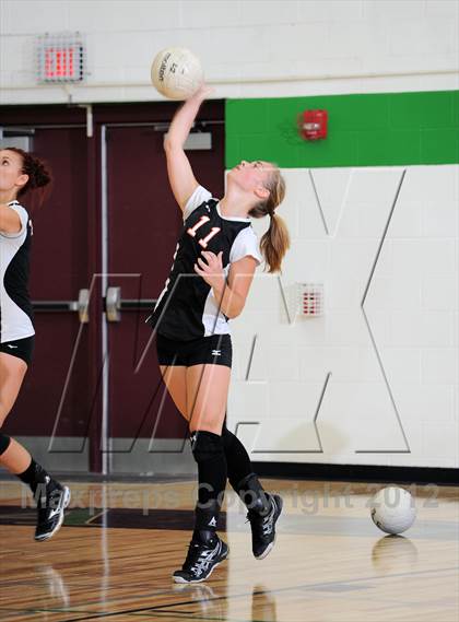 Thumbnail 3 in Webster @ Siren photogallery.