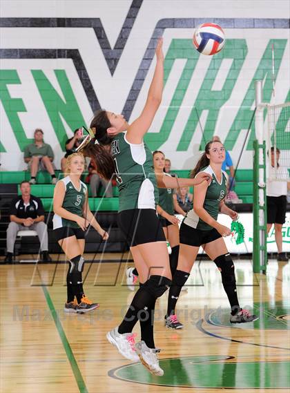 Thumbnail 1 in Webster @ Siren photogallery.