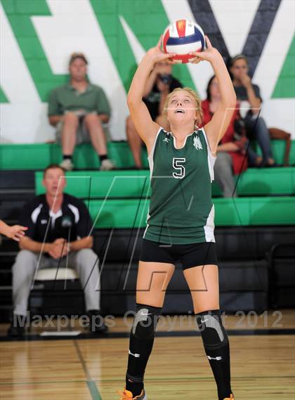 Thumbnail 3 in Webster @ Siren photogallery.