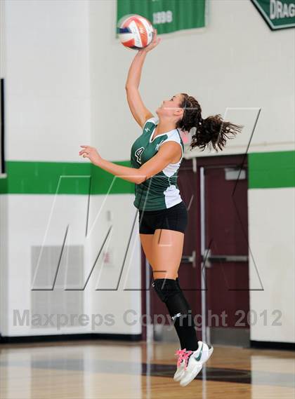 Thumbnail 1 in Webster @ Siren photogallery.