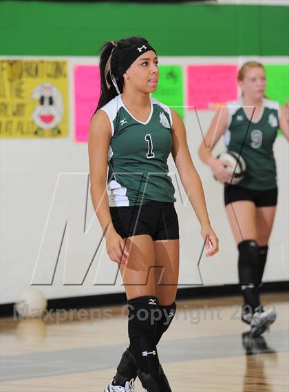 Thumbnail 2 in Webster @ Siren photogallery.