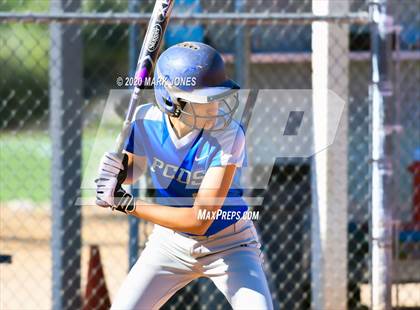 Thumbnail 3 in Northland Prep Academy vs Phoenix Country Day (Desert Classic) photogallery.