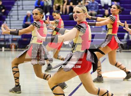 Thumbnail 2 in Brighton "Accadians" photogallery.