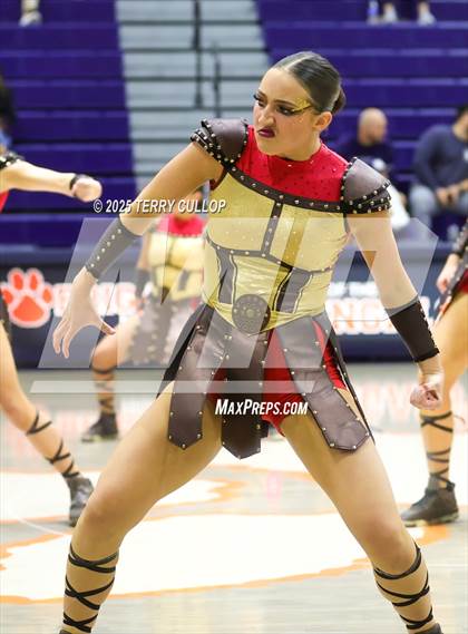 Thumbnail 1 in Brighton "Accadians" photogallery.