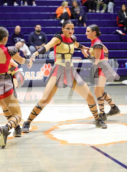 Thumbnail 1 in Brighton "Accadians" photogallery.