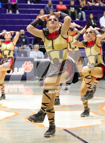 Thumbnail 2 in Brighton "Accadians" photogallery.