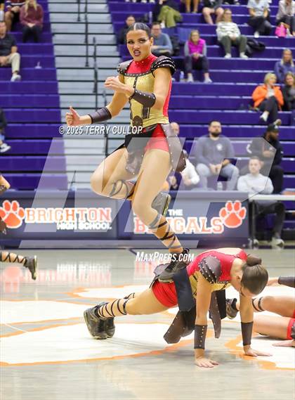 Thumbnail 2 in Brighton "Accadians" photogallery.