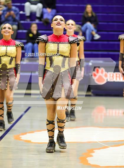 Thumbnail 1 in Brighton "Accadians" photogallery.