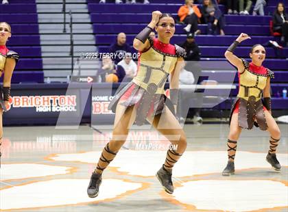 Thumbnail 3 in Brighton "Accadians" photogallery.