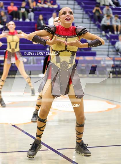 Thumbnail 2 in Brighton "Accadians" photogallery.