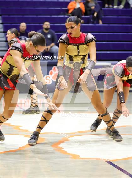 Thumbnail 1 in Brighton "Accadians" photogallery.