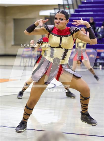 Thumbnail 3 in Brighton "Accadians" photogallery.