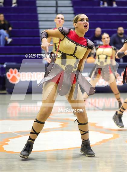 Thumbnail 3 in Brighton "Accadians" photogallery.