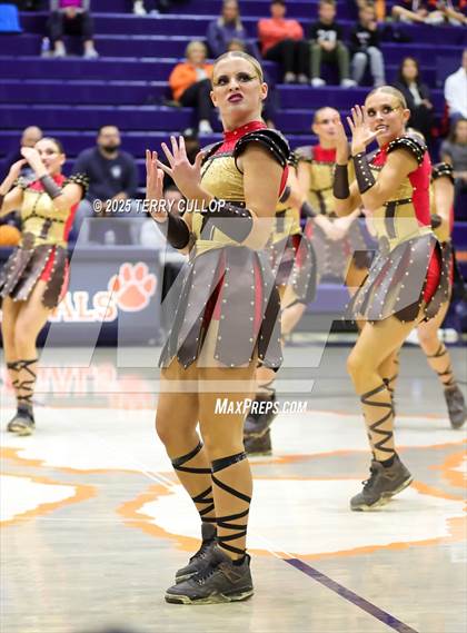 Thumbnail 1 in Brighton "Accadians" photogallery.