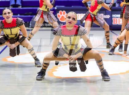 Thumbnail 1 in Brighton "Accadians" photogallery.