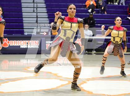 Thumbnail 1 in Brighton "Accadians" photogallery.