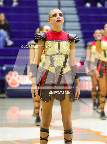 Thumbnail 3 in Brighton "Accadians" photogallery.