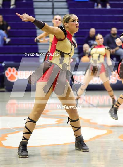 Thumbnail 1 in Brighton "Accadians" photogallery.