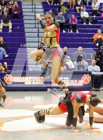 Thumbnail 3 in Brighton "Accadians" photogallery.