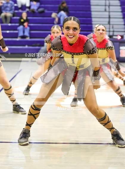 Thumbnail 3 in Brighton "Accadians" photogallery.