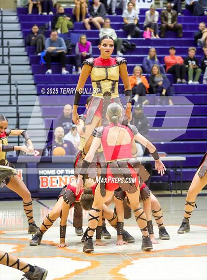 Thumbnail 2 in Brighton "Accadians" photogallery.