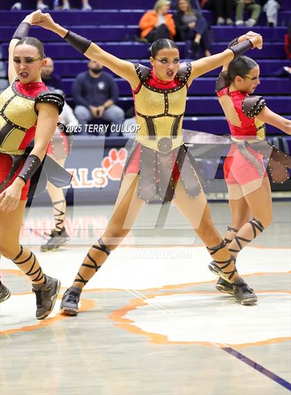 Thumbnail 3 in Brighton "Accadians" photogallery.