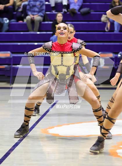 Thumbnail 3 in Brighton "Accadians" photogallery.