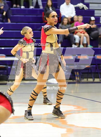 Thumbnail 2 in Brighton "Accadians" photogallery.