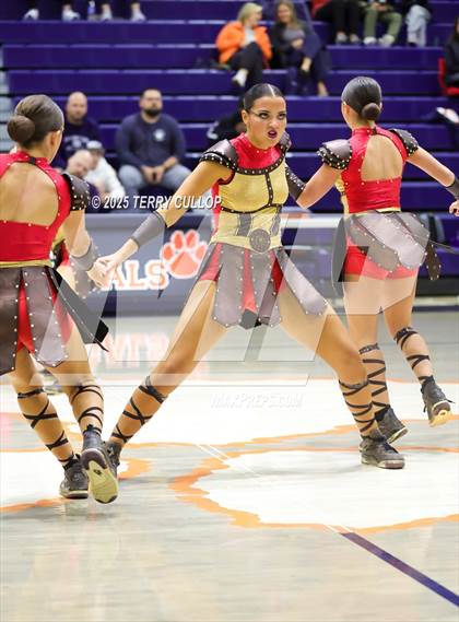 Thumbnail 2 in Brighton "Accadians" photogallery.