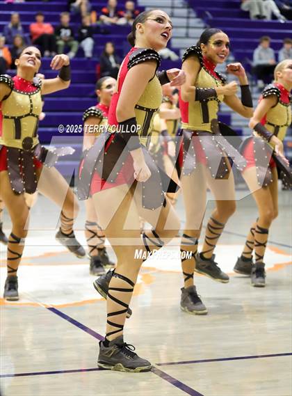 Thumbnail 1 in Brighton "Accadians" photogallery.