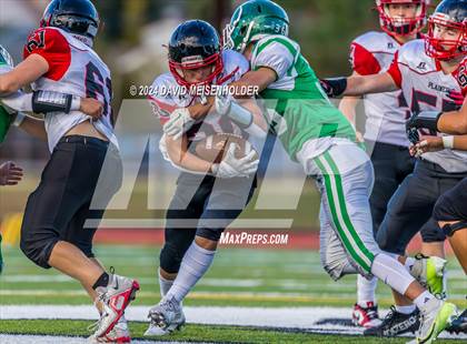 Thumbnail 3 in Plainedge @ Seaford photogallery.
