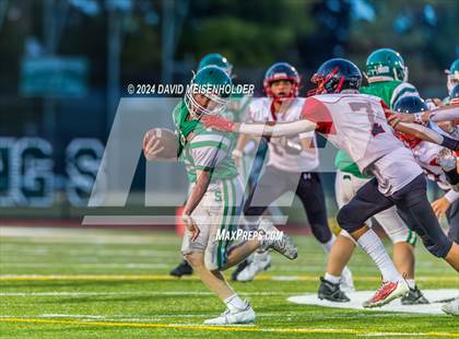 Thumbnail 2 in Plainedge @ Seaford photogallery.