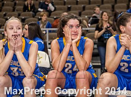 Thumbnail 2 in Newport Central Catholic vs Notre Dame (KHSAA Ninth Region Final) photogallery.