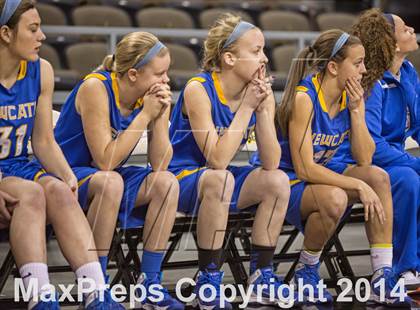 Thumbnail 2 in Newport Central Catholic vs Notre Dame (KHSAA Ninth Region Final) photogallery.