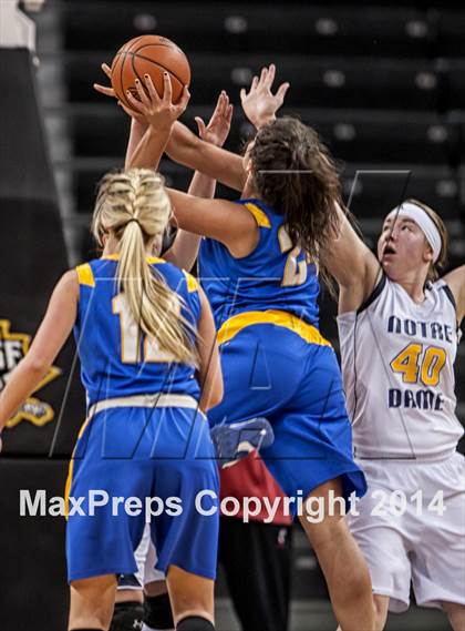 Thumbnail 3 in Newport Central Catholic vs Notre Dame (KHSAA Ninth Region Final) photogallery.