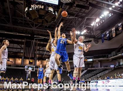 Thumbnail 1 in Newport Central Catholic vs Notre Dame (KHSAA Ninth Region Final) photogallery.