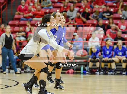Thumbnail 2 in Robinson @ Lorena photogallery.