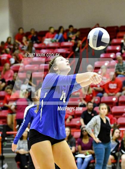 Thumbnail 2 in Robinson @ Lorena photogallery.