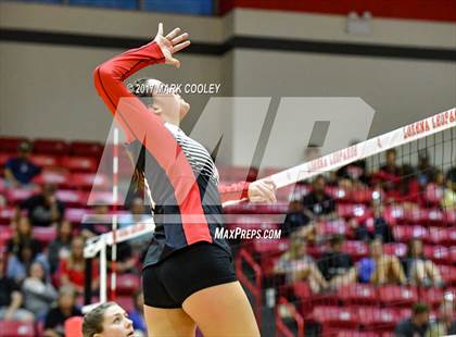Thumbnail 3 in Robinson @ Lorena photogallery.