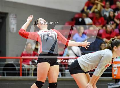 Thumbnail 2 in Robinson @ Lorena photogallery.