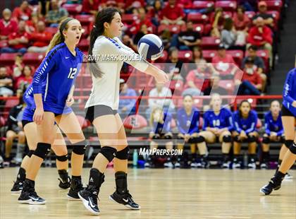 Thumbnail 3 in Robinson @ Lorena photogallery.
