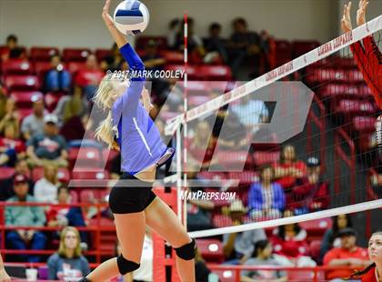 Thumbnail 1 in Robinson @ Lorena photogallery.